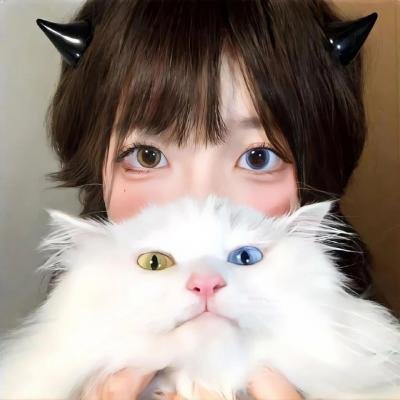天眼行动
